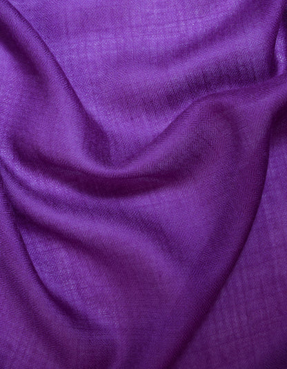 Dark Purple Handwoven Sozni Border Embroidered Cashmere Pashmina Stole