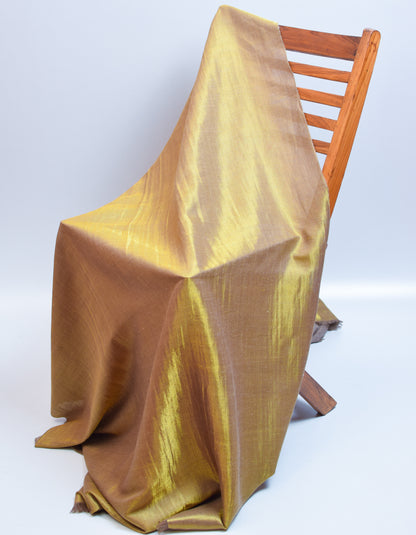 Khaki Gold Zari Handwoven Reversible Cashmere Pashmina Shawl