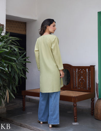 Nigeen Kashmiri Aari Light Green Kurti