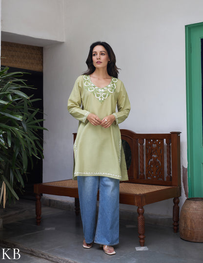 Nigeen Kashmiri Aari Light Green Kurti