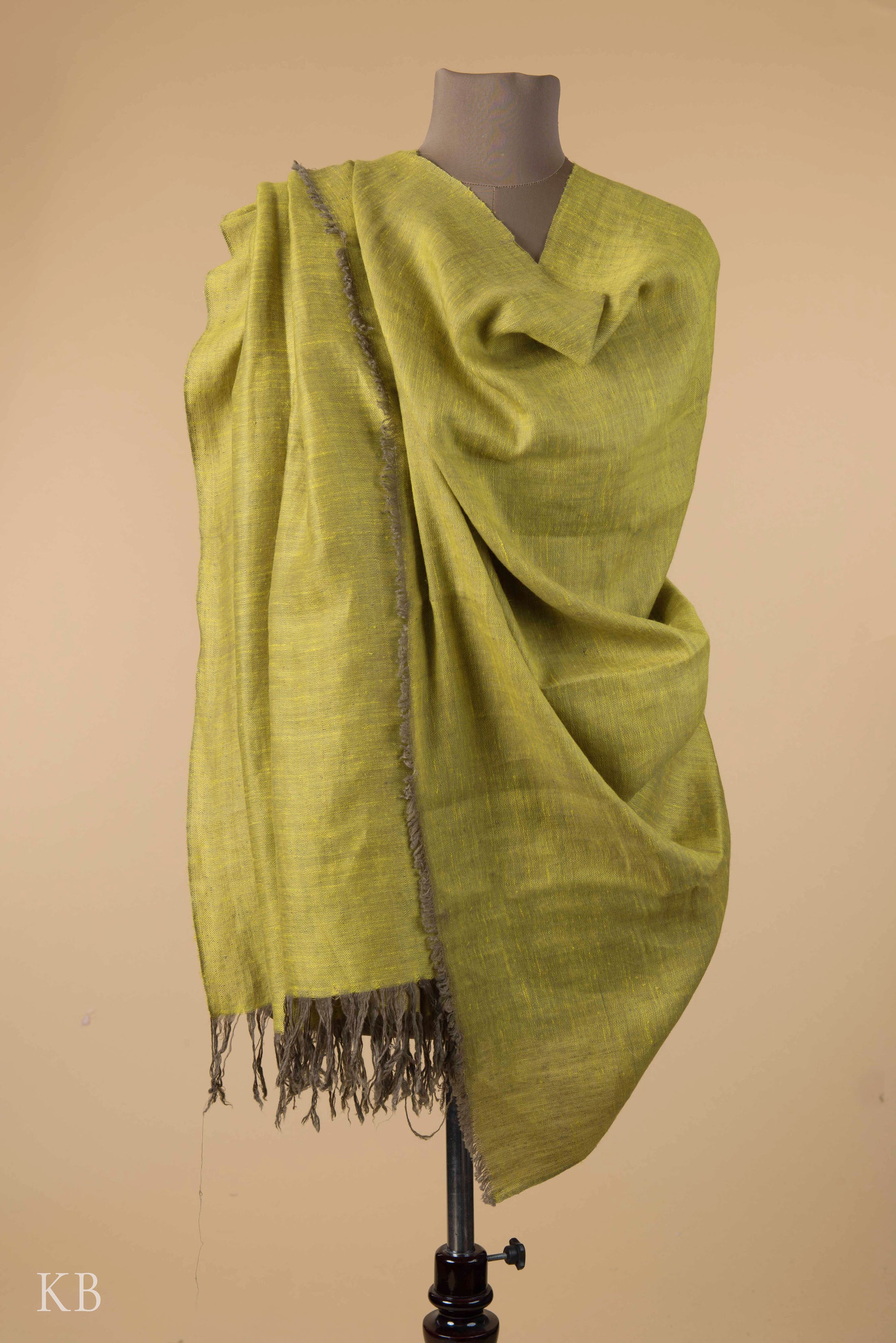 Olive Pear Green Reversible Pashmina Shawl - Kashmir Box