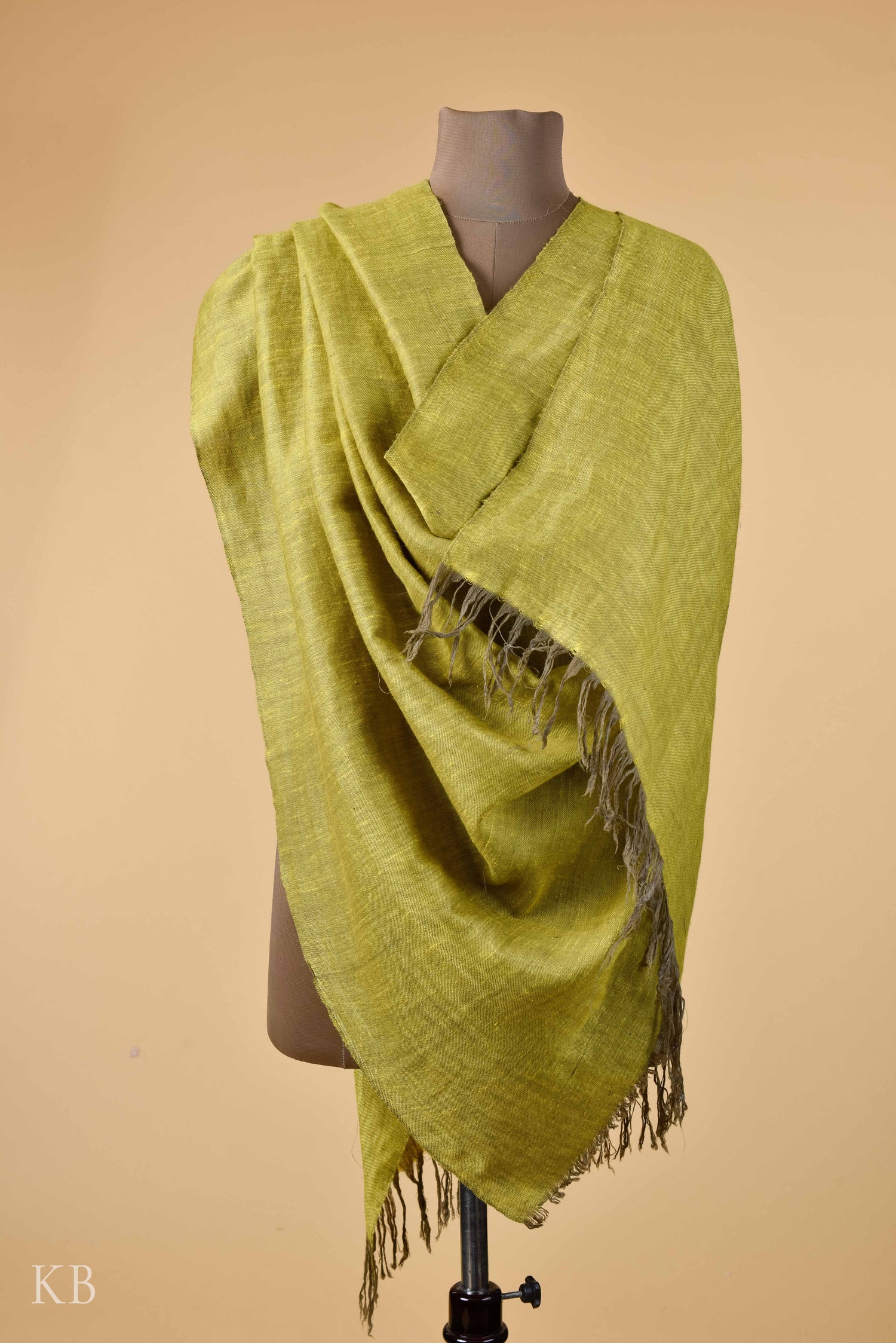 Olive Pear Green Reversible Pashmina Shawl - Kashmir Box