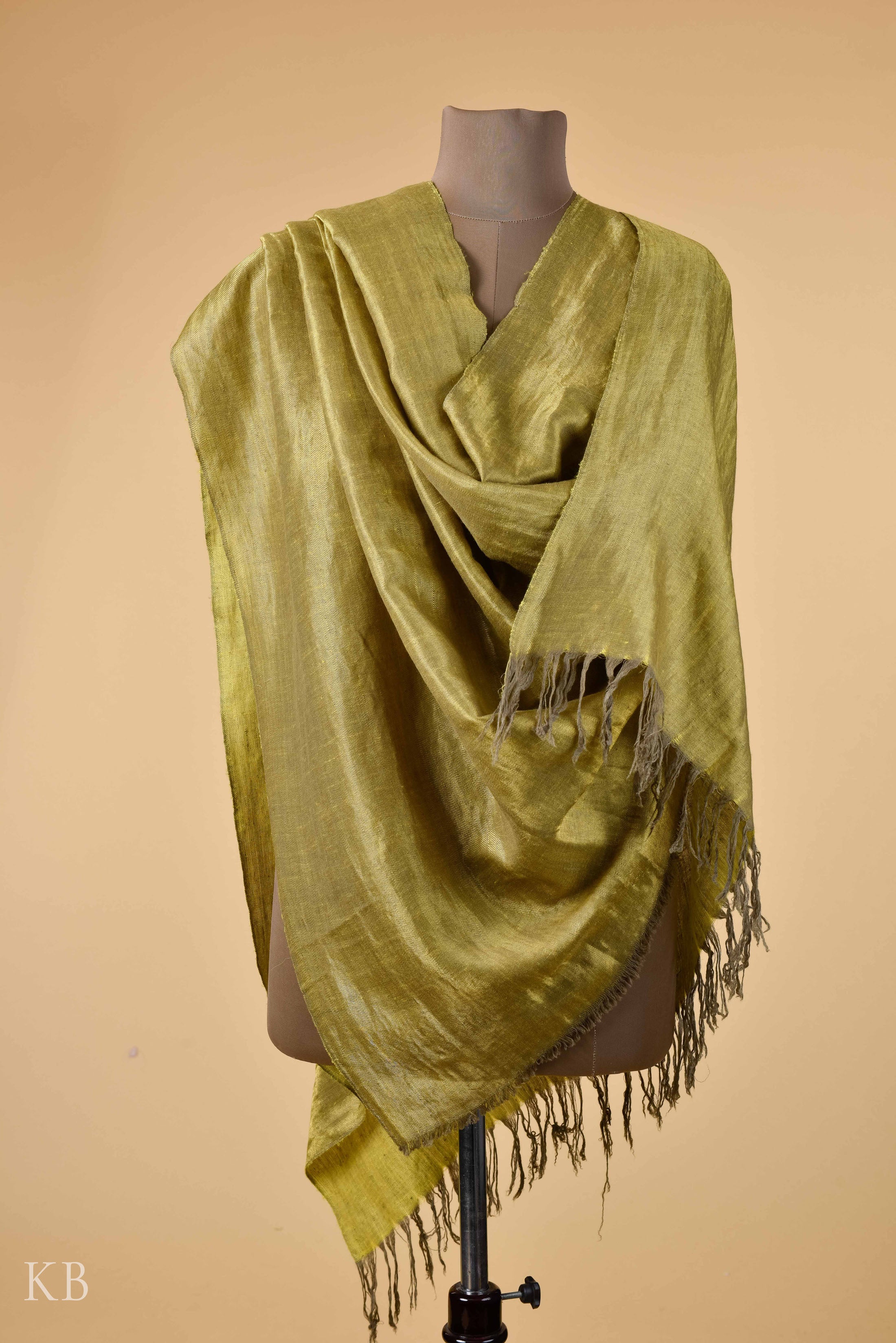 Olive Pear Green Reversible Pashmina Shawl - Kashmir Box