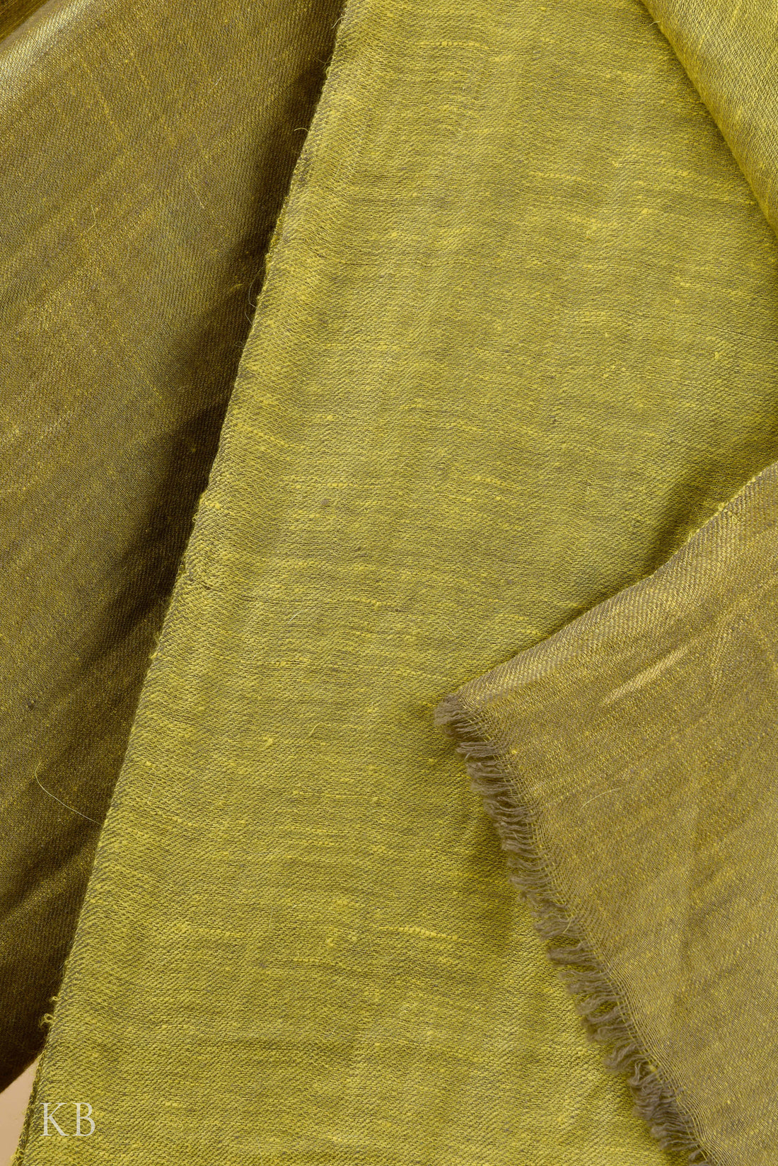 Olive Pear Green Reversible Pashmina Shawl - Kashmir Box