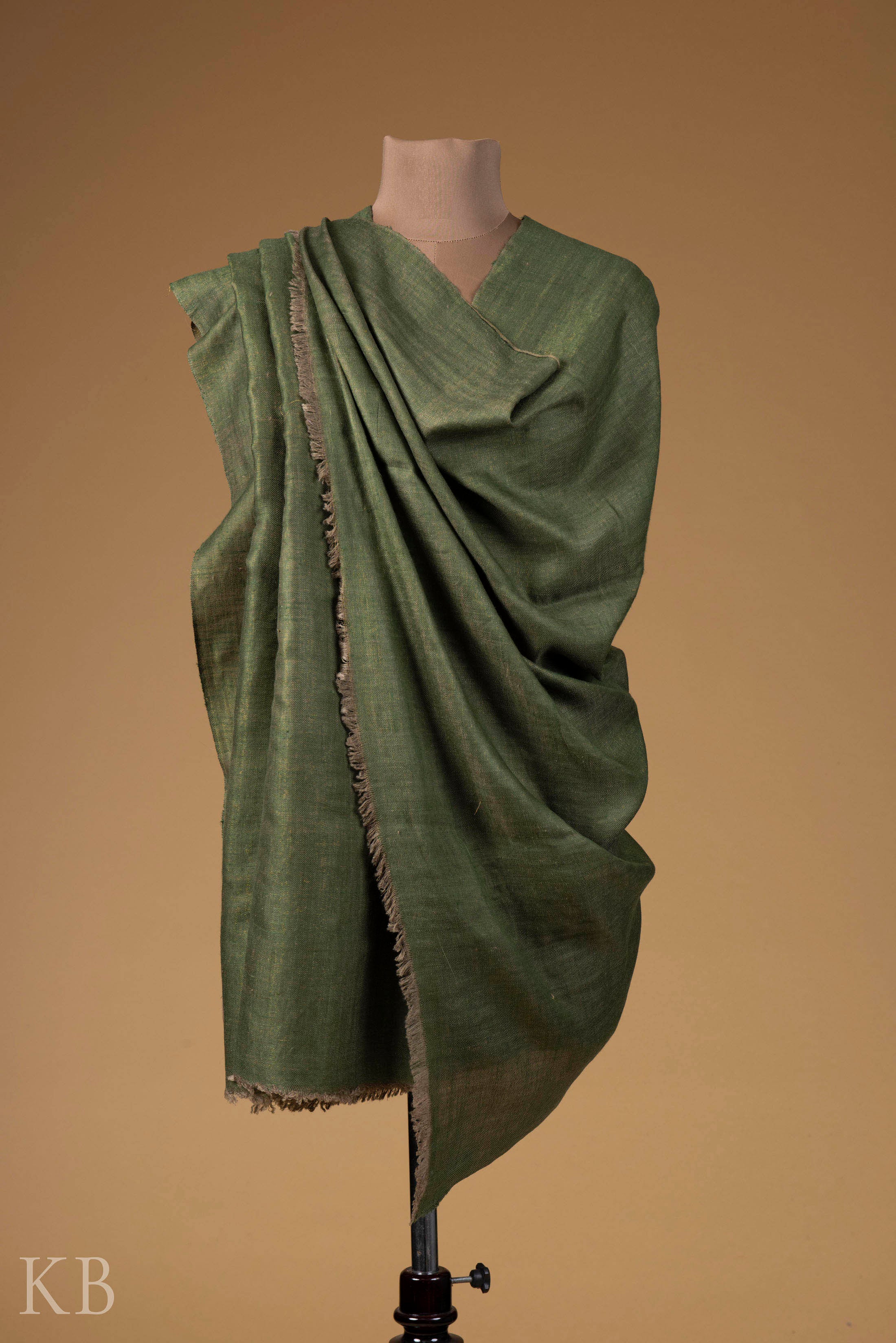 Olive Golden Reversible Pashmina Shawl - Kashmir Box