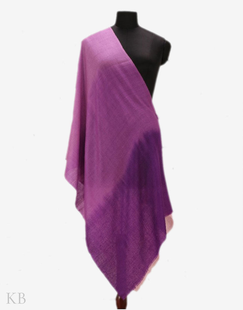 Color Tetrad Pure Pashmina Stole - KashmirBox.com