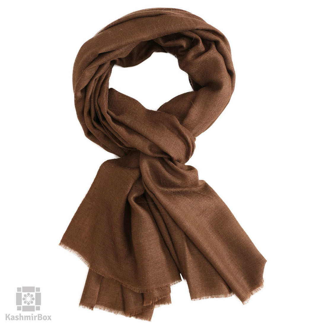 Walnut Brown Cashmere Pashmina Stole - KashmirBox.com