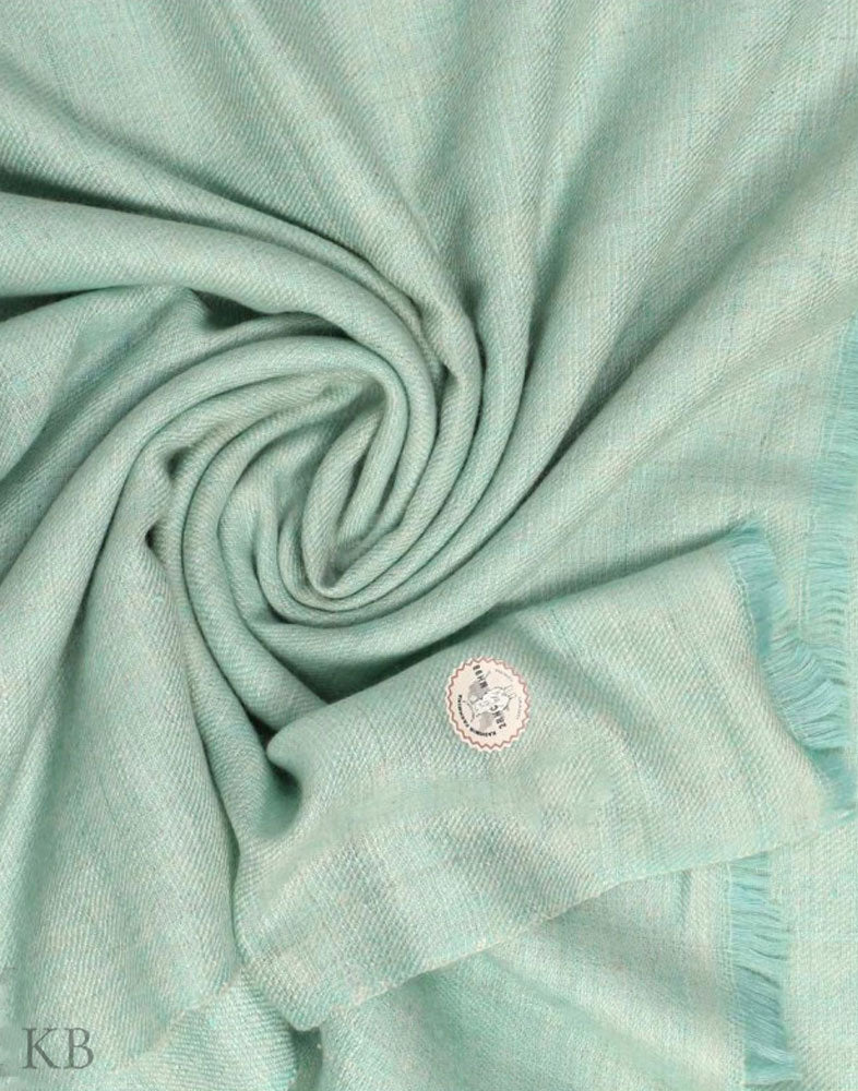 GI Certified Mint Green Solid Cashmere Pashmina Stole - Kashmir Box