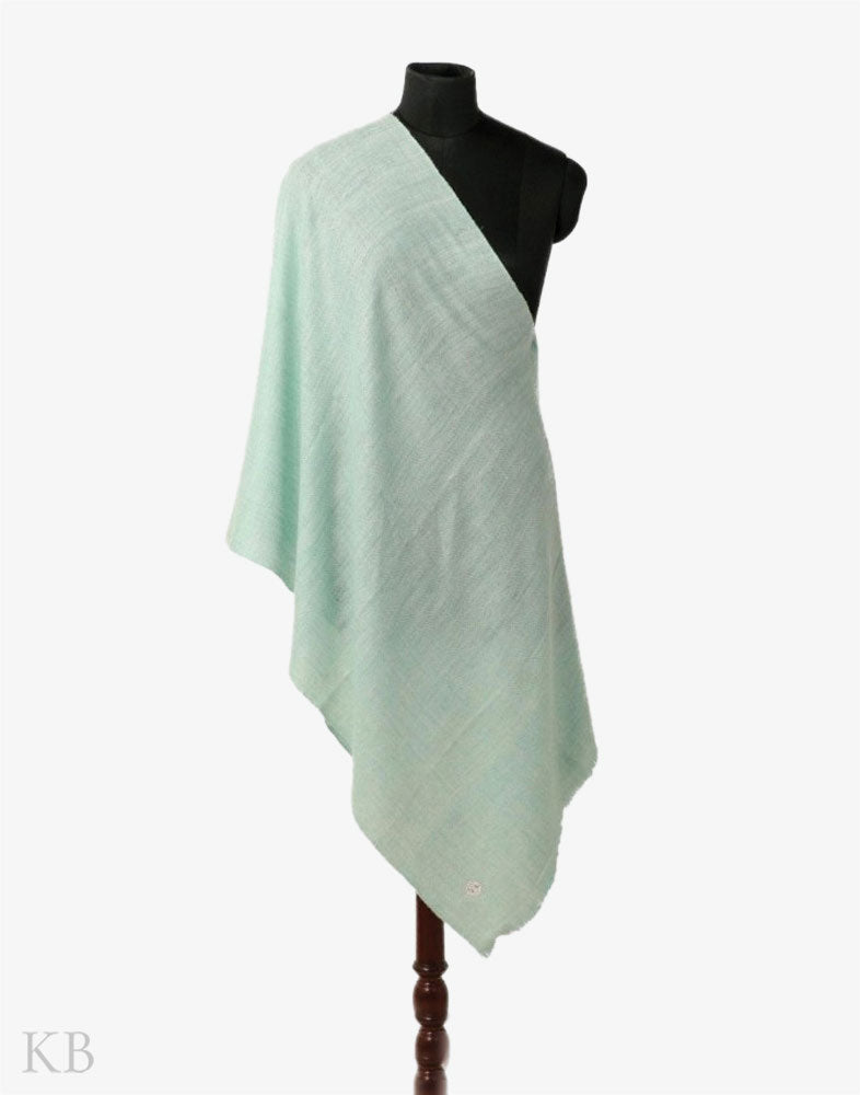 GI Certified Mint Green Solid Cashmere Pashmina Stole - Kashmir Box