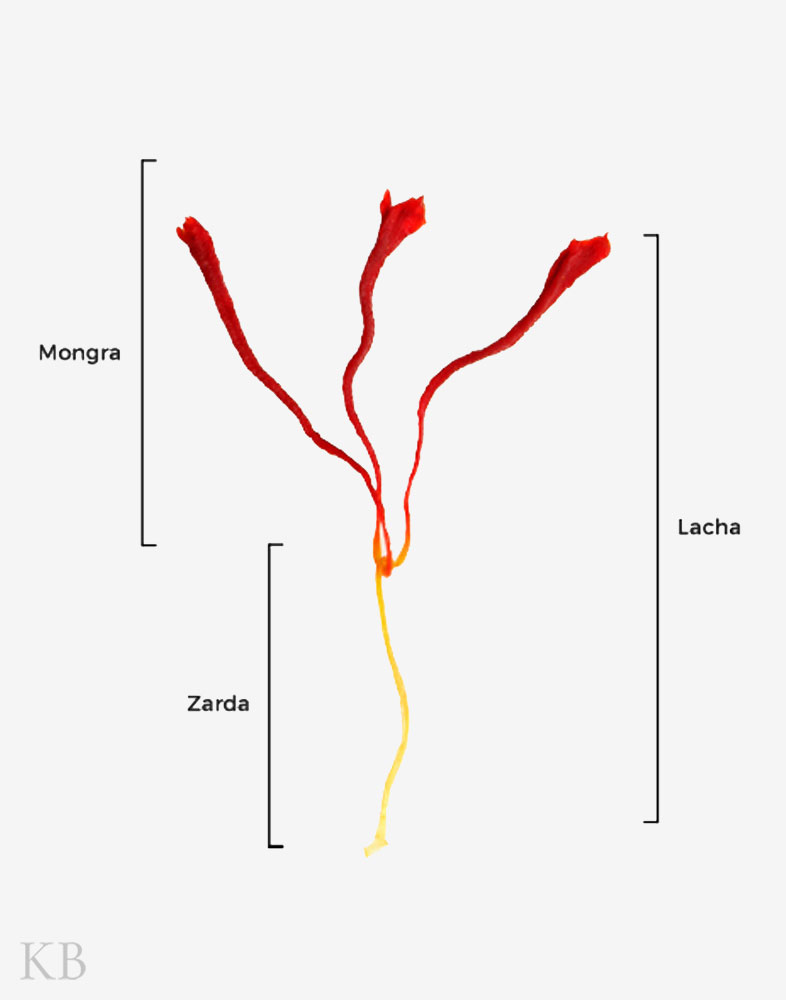 Koshur Kashmiri Mongra Saffron Strands - Kashmir Box