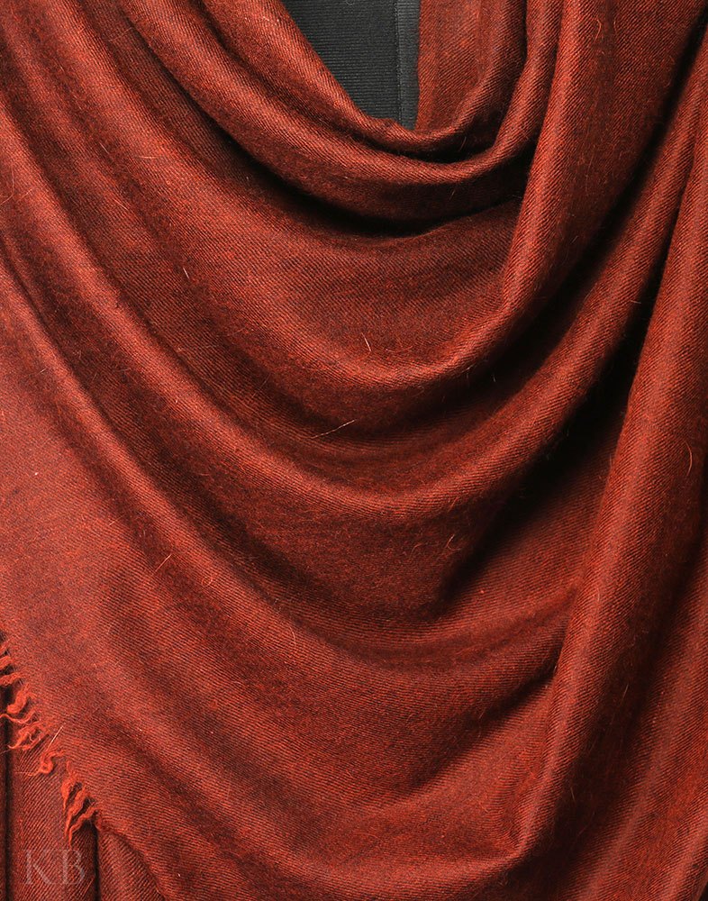 Pecan Brown Plain Cashmere Pashmina Shawl - Kashmir Box